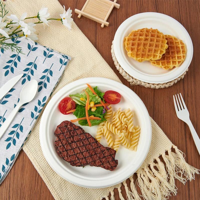 Disposable Plates 50 Pack, 9 Inch Heavy Duty Plastic Dinner Plates for Party Wedding Birthday Picnic BBQ United States