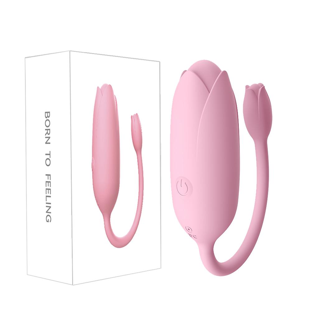 Vibrating Egg for Women G-Spot Clit Stimulator Wireless Remote Control Panties Vibrator Female Masturbator Sex Toy for Couples