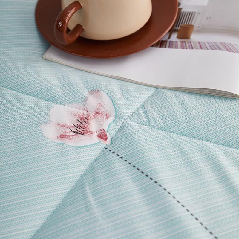 Beigeman Warm Cotton Anti-mite Quilt