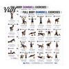 Grafico Esercizi Fitness a Casa 2 Pezzi Poster Allenamento Manubri, Arte Murale Esercizi Total Body Parte Superiore Inferiore, Guida Allenamento Forza per Professionisti Palestra