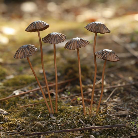 1/5/6/8/10Pcs Wrought Iron Mushroom Decoration Set Lightweight Stable Structure Desk Ornament Garden Home Decor