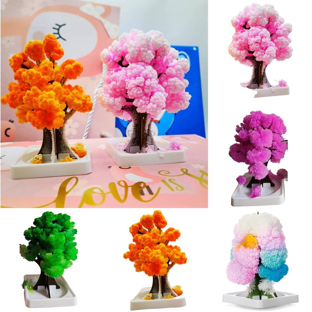 Paper Tree Magic Tree Amazing Flowering And Crystal Growing Toy For Kids