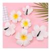 Yesallwas Hair Clips Pins Plumeria Artificial Flowers 5cm Set of 20 Flowers Only White Hair Clips Pins Plumeria Hair Accessories Floral DIY Handmade