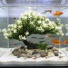 Plastic Simulation Aquatic Plant Natural Look Lifelike Tree Underwater Plants Artificial Welcome Pine Realistic Pine Tree