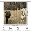 Farmhouse Bathroom Decor Shower Curtain Featuring Trust Farm Animals Black Bull White Cow With Calves Country Rustic Style Home