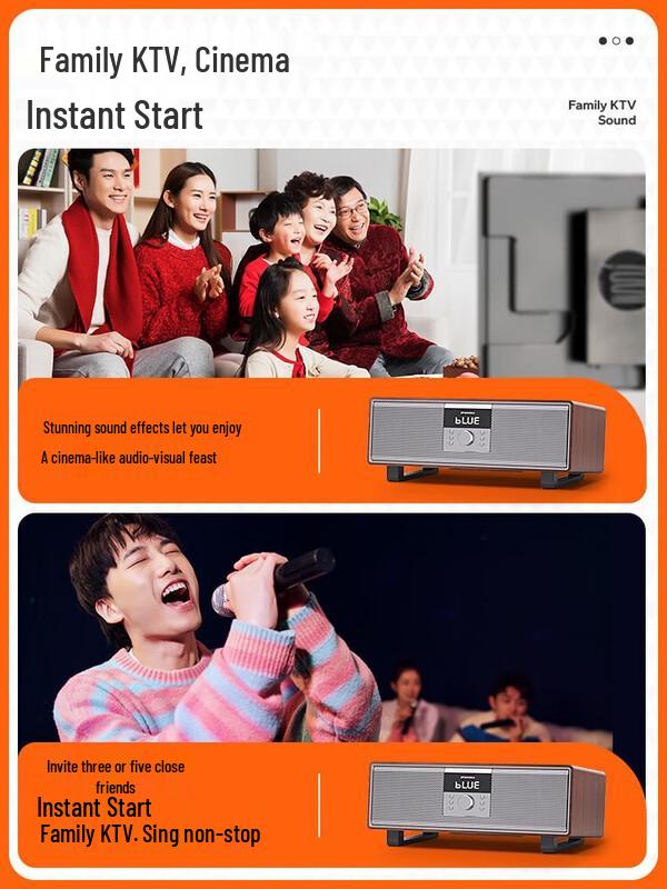 SANSUI T76 Home KTV Audio System with Dual Microphones CN Plug (adapter Included)