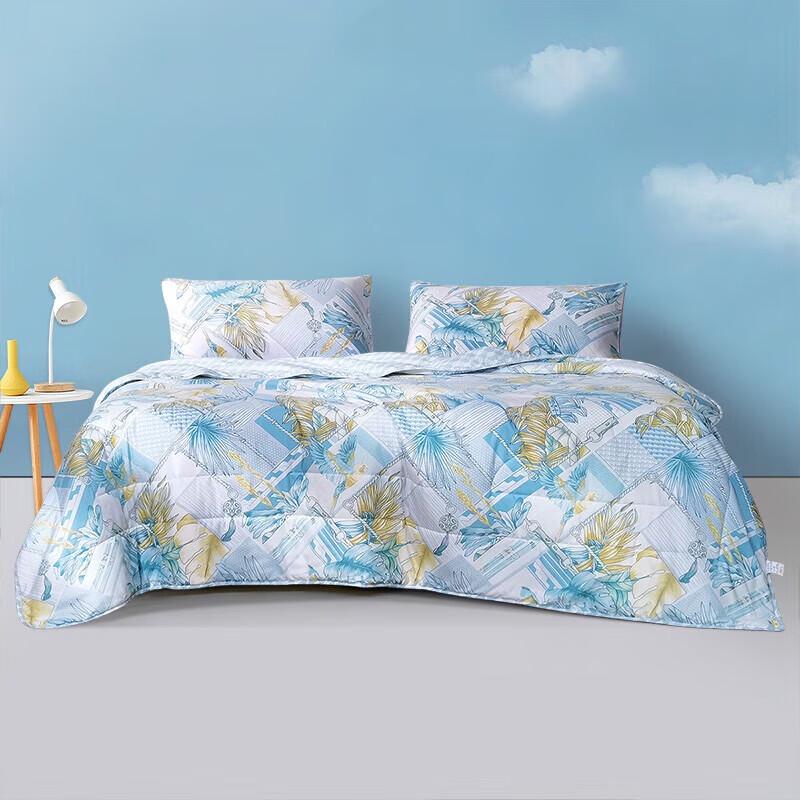 

Fuanna Banxia Yunrou Seven-Hole Antibacterial Printed Summer Quilt