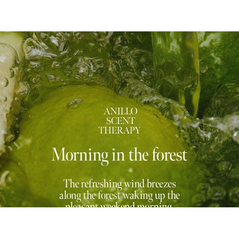 anillo Lime Sunday Refresh Hair & Brush Mini Set