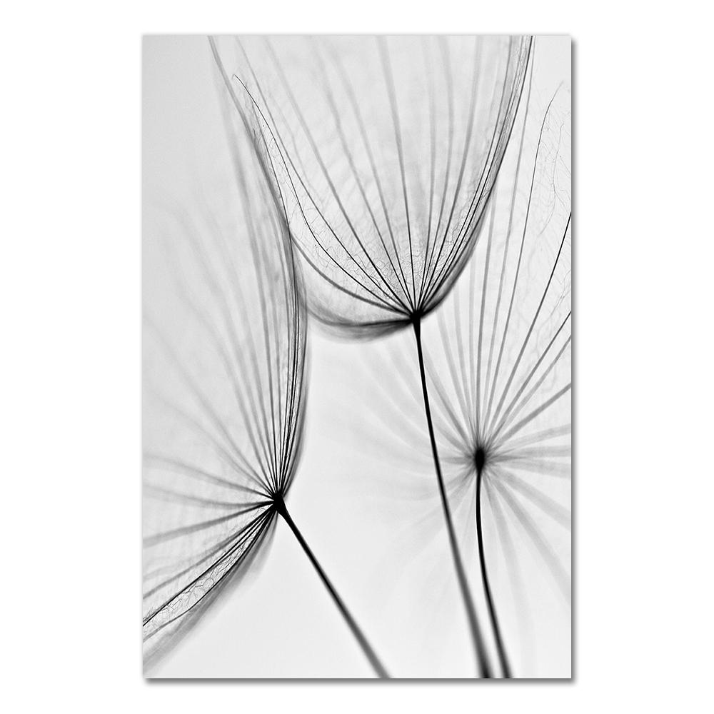 Posters Black And White Flower Print Fresh Wall Art Feather Dandelion Pictures Canvas Living Room Decoration Wall Paintings