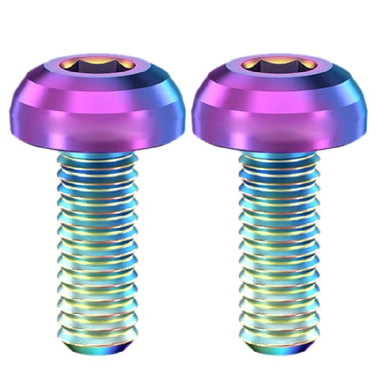 2Pcs Titaniums Alloys Bike Bottle Holder Screw M5x12mm Water Bottle Cage Bolts Hexagon Socket Head Bolts Screws Bike Part
