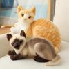 Siamese Cat Plush Toy: Early Education Comfort Gift for Children, Home Decor Ornament