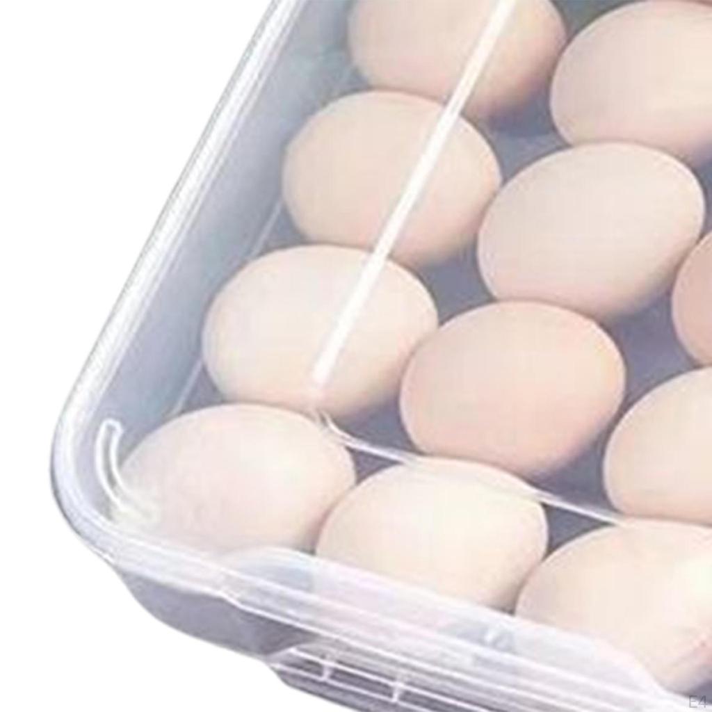 Compact Egg Storage Solution for Home or Restaurant
