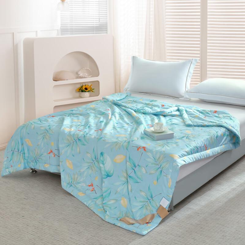 Ziyun Ice Silk Summer Quilt