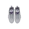 Air Jordan True Flight 'Wolf Grey Purple' 342964-051