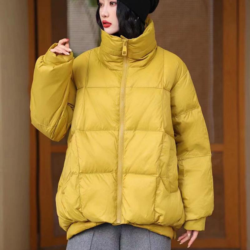 Literary and Fashionable Design Sense Short Down Jacket Women's Winter New Stand-up Collar Warm Casual Small Jacket