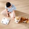 Xiaomi Smart Body Fat Scale S400 (CN version)