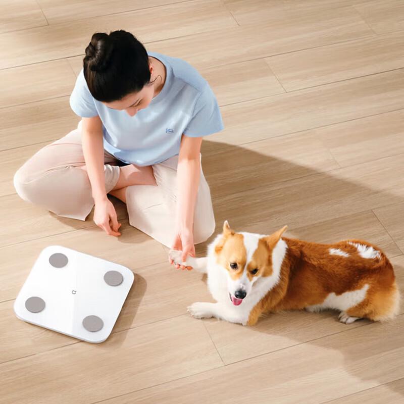 Xiaomi Smart Body Fat Scale S400 (CN version)