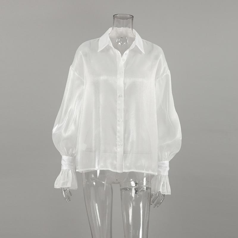 Women S French Style Sheer Mesh Long Sleeve Collared Shirt