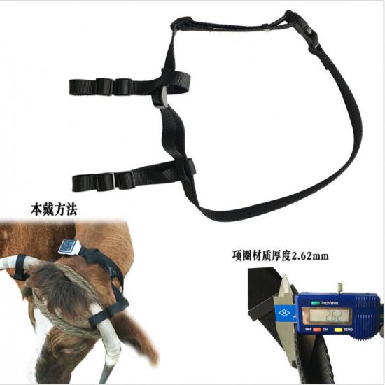 Solar GPS Tracker Collar Holder Large