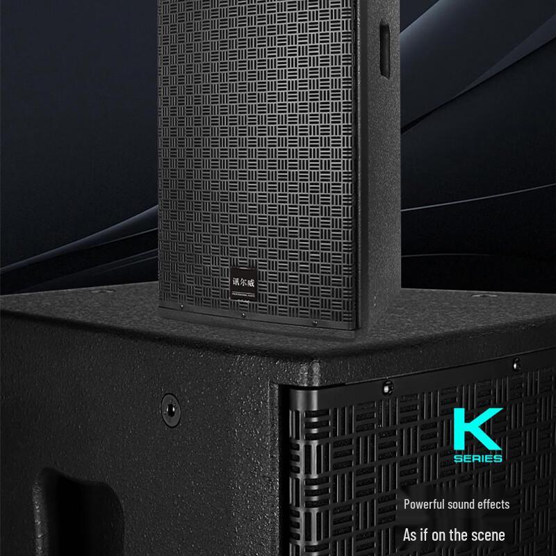 XER-K15 Professional 15-inch Full-Range Conference Speaker (CN Version)