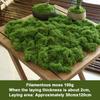 Lifelike Artificial Moss For DIY Crafts Home Decor  Evergreen Plant Accent For Indoor Landscapes Wedding Decorations  More