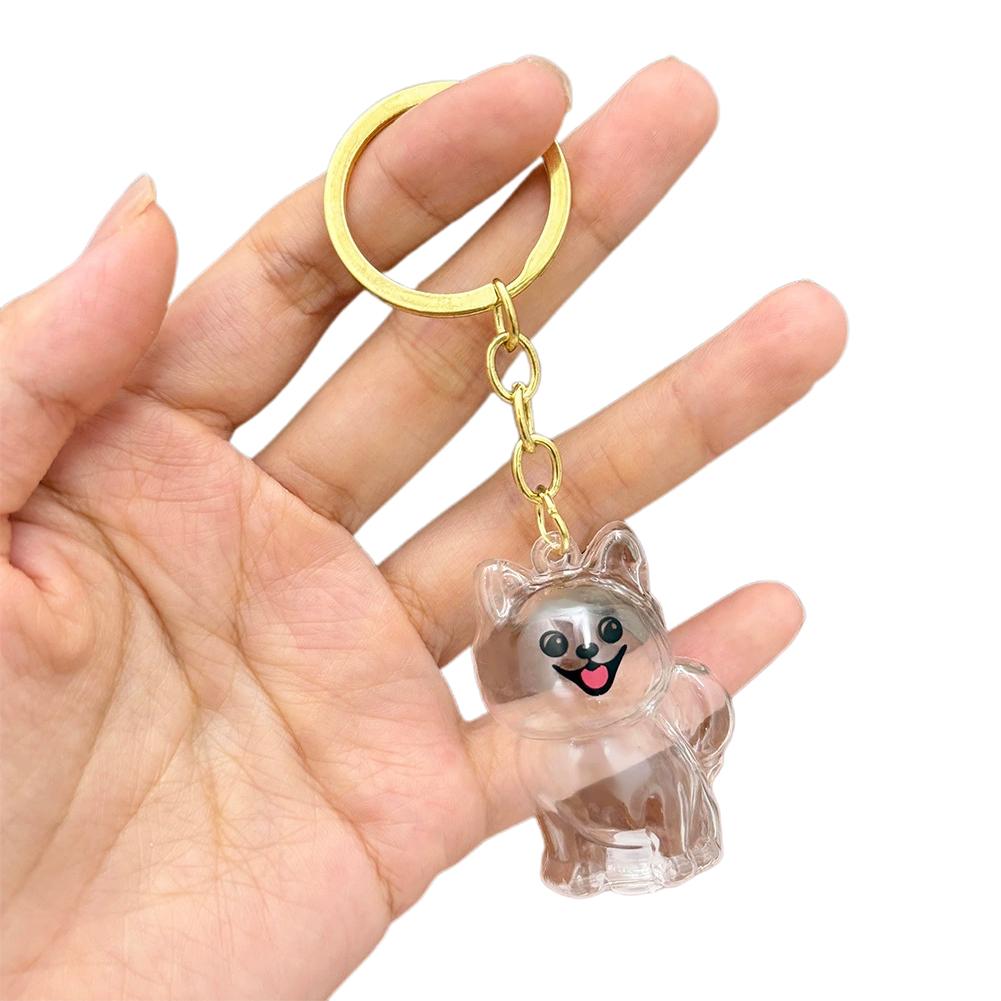 Cartoon Hundeform Hundehaar Aufbewahrungsbox Haarpflege Transparent Tierhaare Schlüsselanhänger Acryl Schlüsselanhänger Welpen Anhänger Schmuck Geschenk