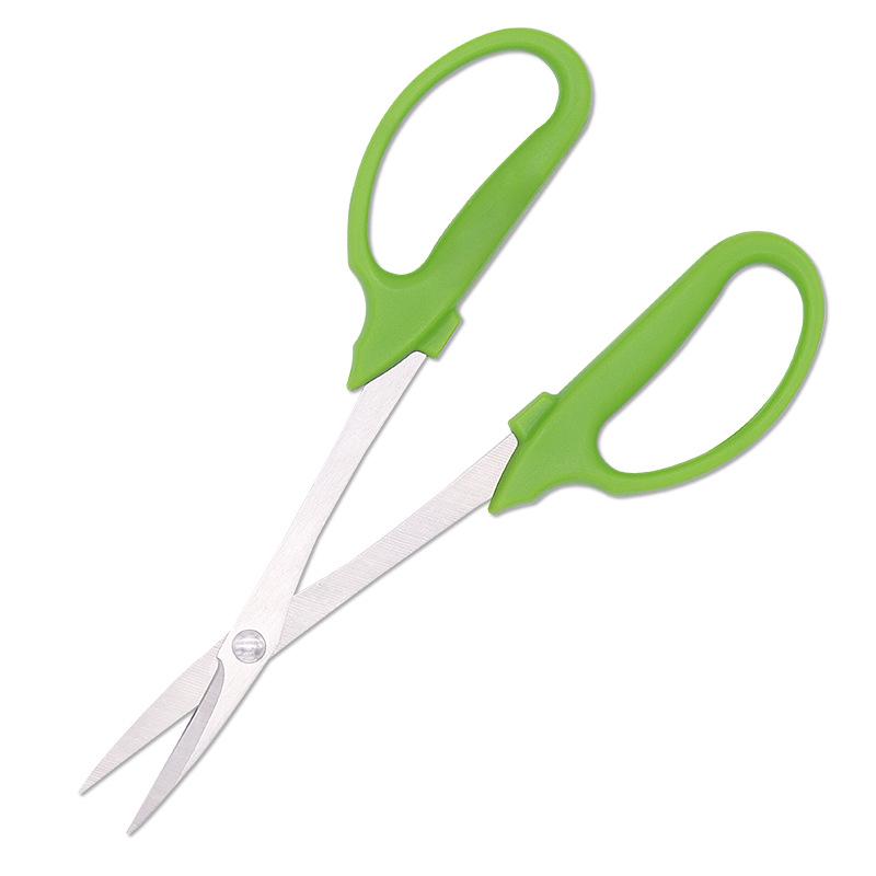 Stainless Steel Garden Shears for Pruning Bonsai and Potted Plants