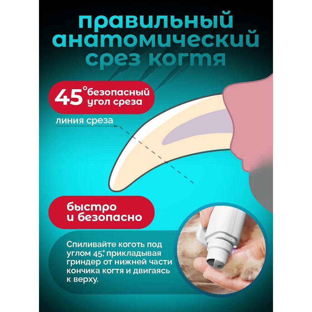 A feline for small and medium-sized dogs, used in felines.