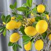 Green Leaves Artificial Lemon Fruit Faux Lemon Fake Plants  For Home Garden Decor