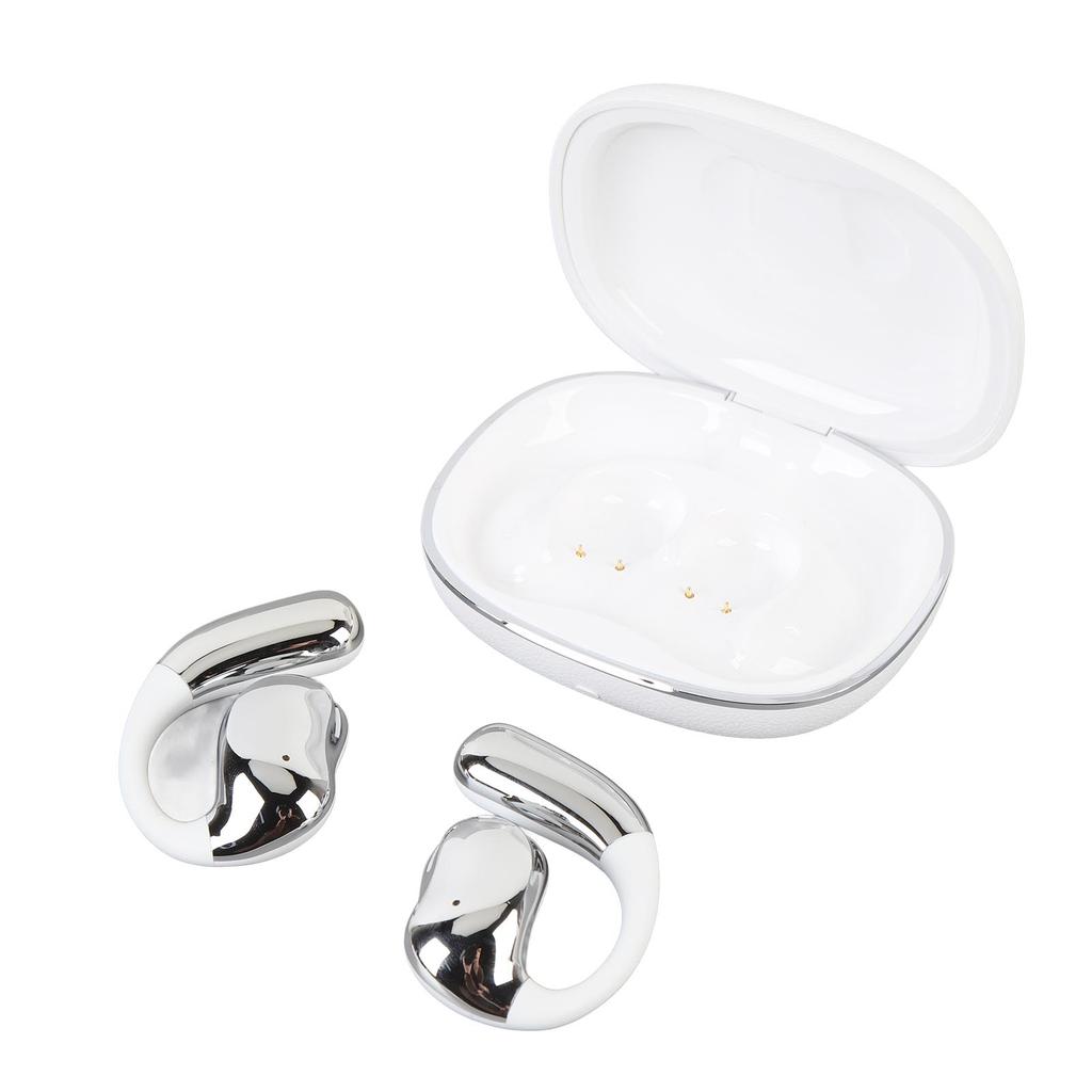  5.4 Translation Earbuds 140 Languages   ANC Noise Reduction 600mah Battery Wireless Translator Earbuds