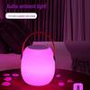 Romantic Ambience Bluetooth Speaker Night Light for Bedroom and Bedside