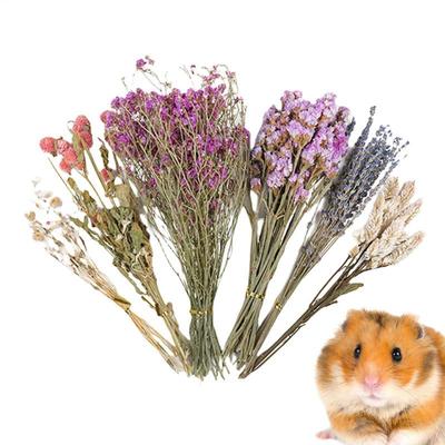 Suszone Kwiaty Podściółka dla Chomika Naturalna Podściółka Dezodoryzująca dla Chomika Zwierzęta Domowe Chomik Materiały do Aranżacji