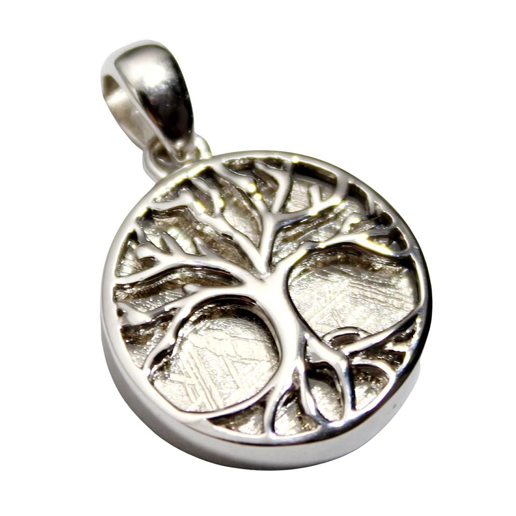 [World Accessories Carmelo] Tree of Life Gibeon Meteorite Sacred Geometry Tree of Life Silver Pendant (Silver)