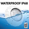 Schwimmbadleuchte LED RGB Farbwechsel DC12V IP68 Wasserdicht Teichleuchte mit Fernbedienung Unterwasserleuchte
