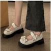 Thick-soled shallow-mouth Mary Jane single shoes 2025 spring and summer new fashion versatile Japanese college style thick-heeled small leather shoes