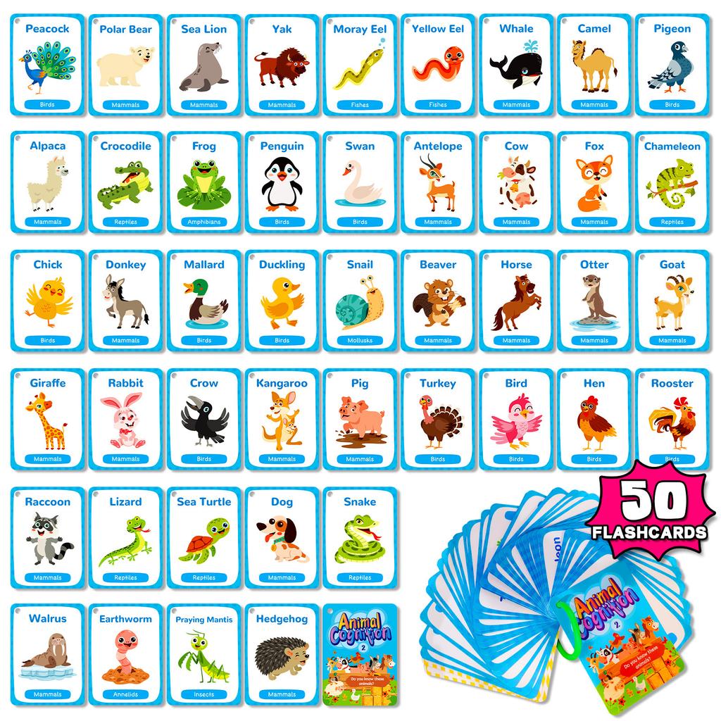 50 Children'S English Enlightenment Animal Cognitive Education Cards Natural Phonics Ebay Early Education Educational Toys