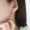 Bling Heart Earrings PYBE0303