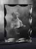 Tosa Inu, Tosa-Ken, Japanese Mastiff - Crystal with a Picture of a Dog, Glass Statuette with a Picture, Unique Frame with a Picture from Art-Dog Brand
