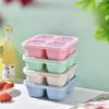 4 Cells Salad Container for Lunch Kids Reusable Food Prep Containers Lunchable Kids Snack Container for School Work and Travel
