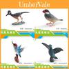 Stunning Static Bird Figurine Featuring Hummingbird And Finch Durable And Colorful Design