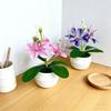 With White Pot Artificial Jasmine Potted Plant Small Fake Flower Bonsai  Indoor Decoration