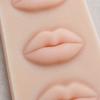 Silicone Permanent Makeup Practice Skin Permanent Makeup Makeup Training Pad Lip Coloring Model