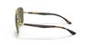 RB3683 Ray-Ban