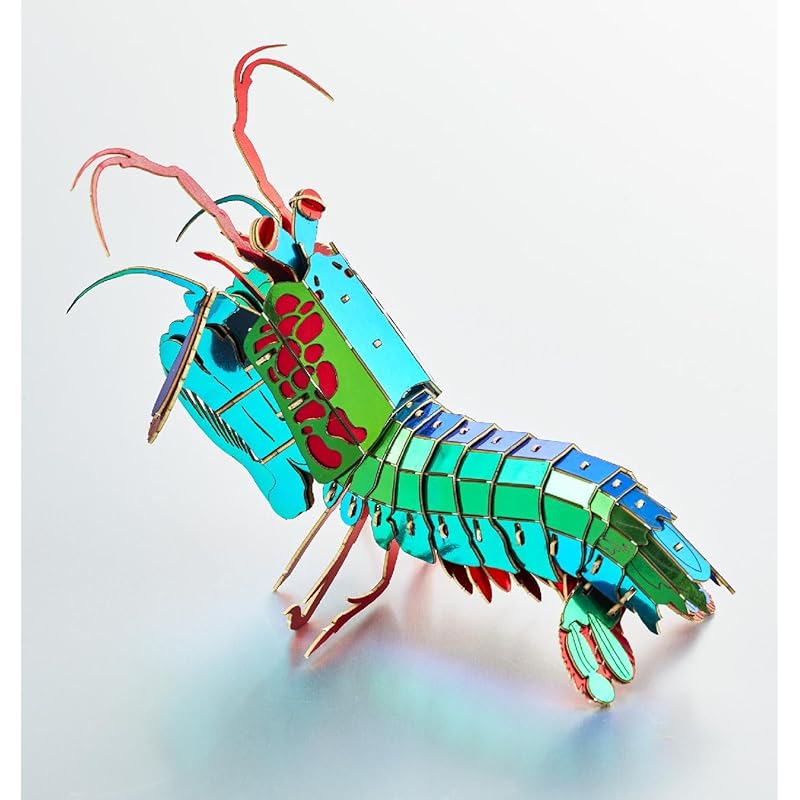 

three-dimensional paper craft puzzle 3D three-dimensional paper puzzle Monhana mantis shrimp