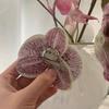 Sweet Orchid Flower Hairpin Rhinestone Women Side Clip Butterfly Orchid Hair Clip  Gifts