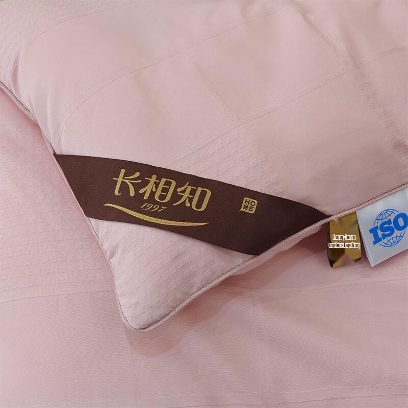 Snow Velvet Thickened Winter Duvet Insert