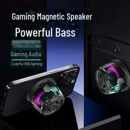 Portable Outdoor Bluetooth Karaoke Speaker with Mic