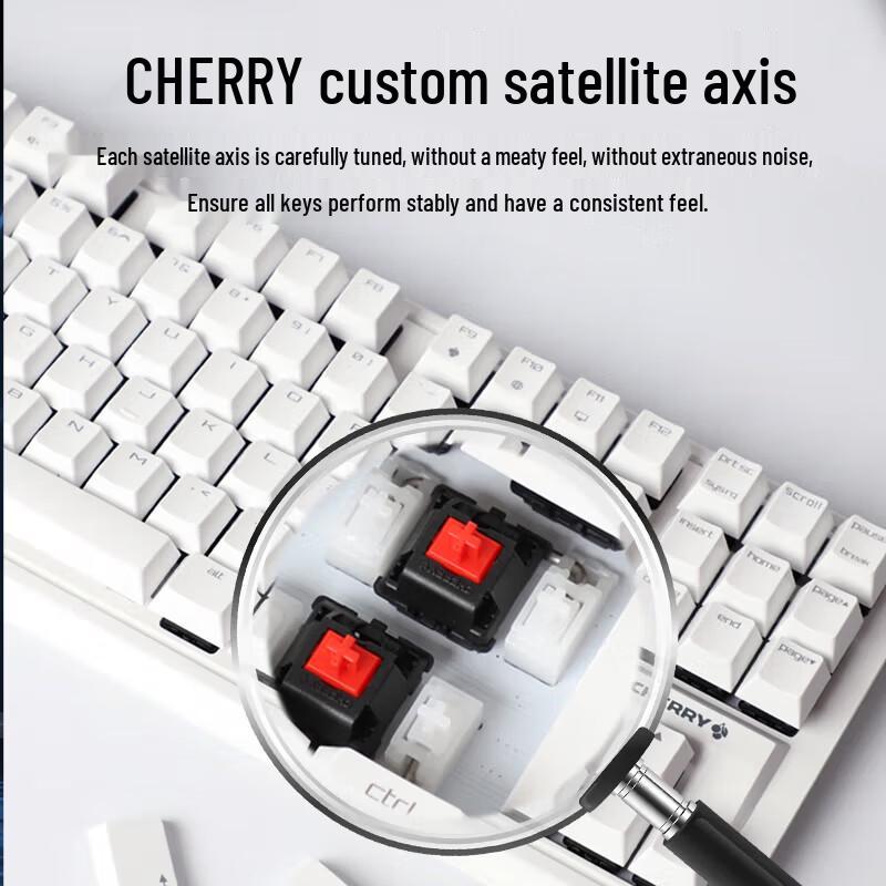 Cherry MX1.1 G80-3910 87-Key Mechanical Gaming Keyboard