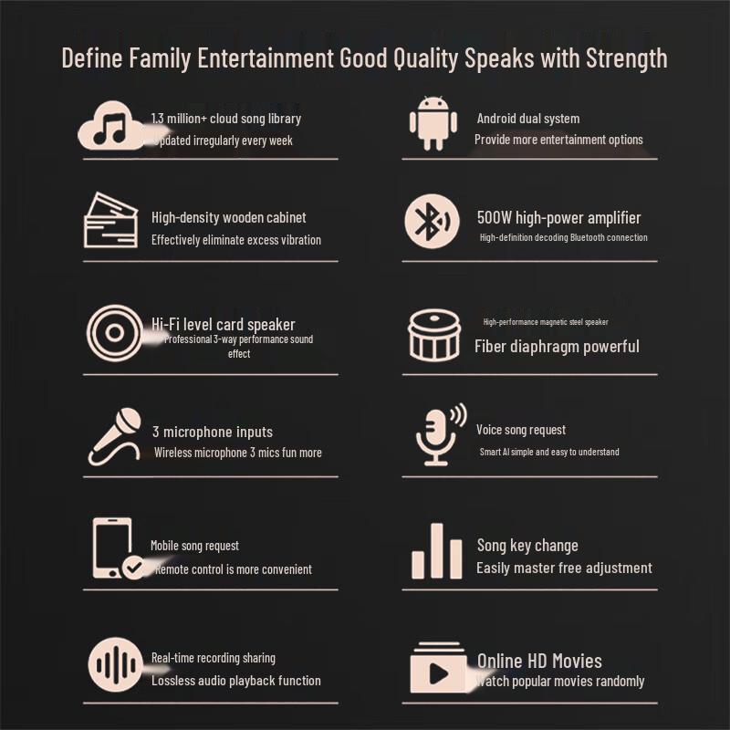 MVCORWNS AV-1040 10-inch KTV & Home Theater Audio System CN Plug (adapter Included)