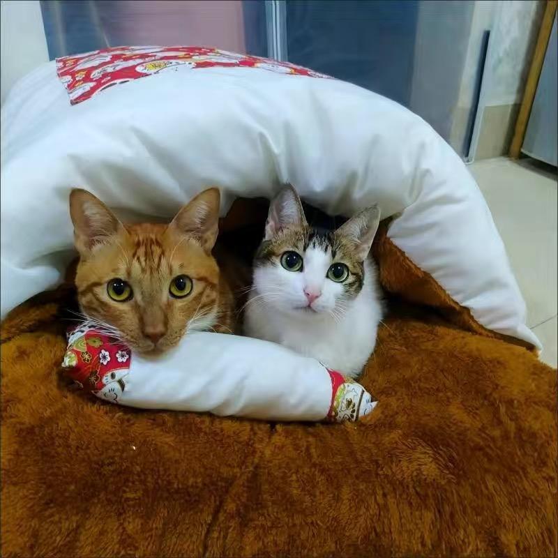Caverne Japonaise De Sommeil Profond Pour Chats Et Chiens, Sac De Couchage Chaud, Maison Amovible Pour Animaux De Compagnie,